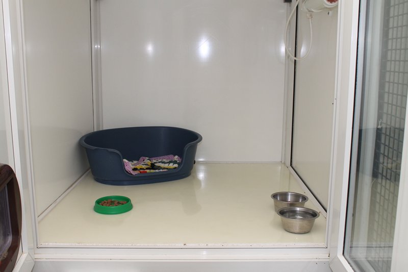 Cattery peterborough chalet2
