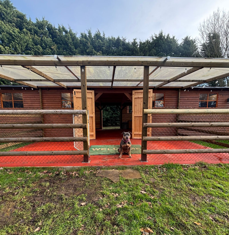 Dog kennel 2025 1